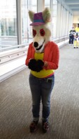 AC 2014 - Unknown Fur #2