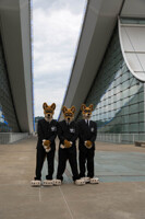 AC2014 - Dingos Down Under