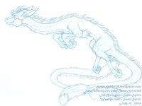 Dragon Tails
