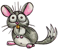 Chinnie
