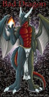 Bad Dragon Banner