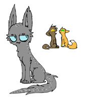 Ashfur