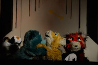 First Pawpets Henry, Chris and Rod