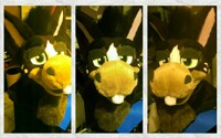 Inkblot's head is done! Taking early offers!