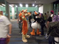FC '14 #238: Valentine & Tuft in no rush....