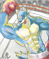 boxing