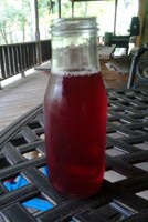 Cranberry Dragon Punch