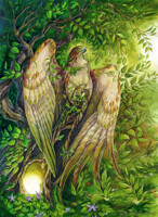 Pressing the Veil