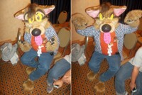 FC '14 #250: The docile & mean sides of Dirt Coyote (2 pics)