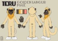83. Teru the Golden Langur