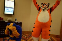 maximus ursus tiger beatdown!