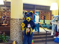 Megaplex 2014: Animal Crossing