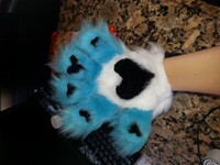 Rain the shynx "sheep/lynx" new paws