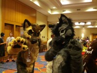 Megaplex 2014:  Nothing to See Here...