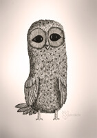 owl