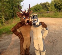 Deer and Doggie