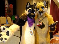 Megaplex 2014 - Lav & Izzy! 