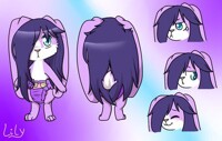 Lily Reference Sheet