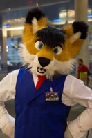 AC 2014 - Zach wolf