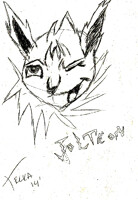 Jolteon Flirt