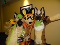 Megaplex 2014~ Party Hard