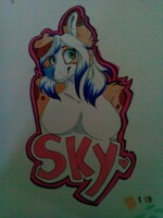 Im a badge horder