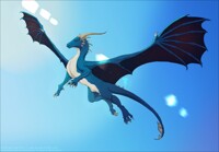 Wild Blue Yonder