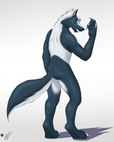 Commission Fursona