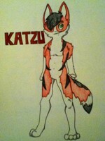 Moar Katzu 