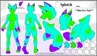 Splotch Reference Sheet 