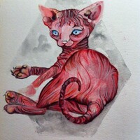 Sphynx kitty WIP
