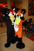 Megaplex 2014: Scurvy Proof