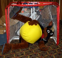Goal!