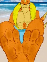 bruce paws [colored]