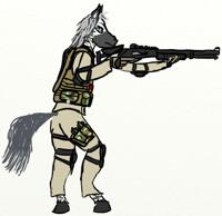 Zebra with a shotgun