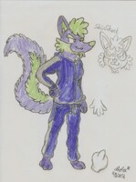 ShinSkunk and his Snazzy Track Outfit