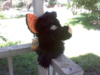 my bat head