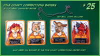 DILE County Corrections Mug / Booking Shot BADGES