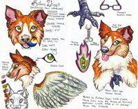 Updated SilverWing Ref by Kizzy