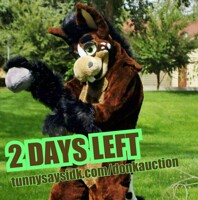 Auction Ends in TWO DAYS