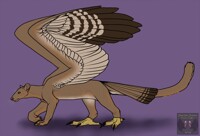 Fossa Gryphon
