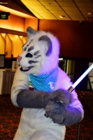 Furry Migration 2014 [6]