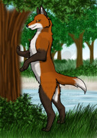 Meet me by the river