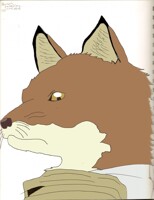 what are you staring at?