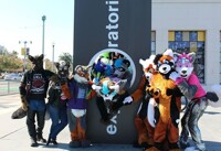 SF Fursuit Crawl: Signs of Furries Ahead