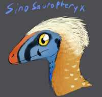 Dino D-day's Sinosauropteryx