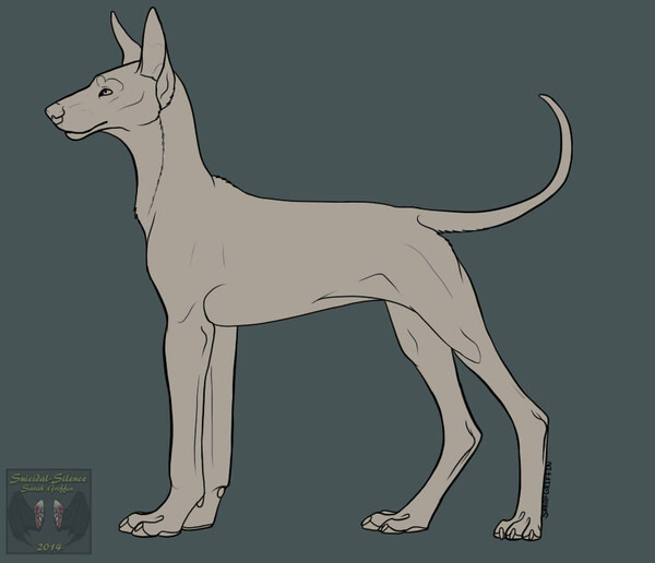 Pharaoh Hound Lineart by Suicidal-Silence -- Fur Affinity [dot] net