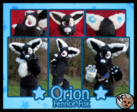 Orion the Fennec Fox Partial