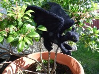 Toothless (needle felting)