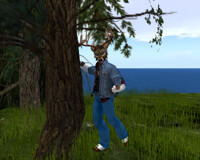 a deer and the tree